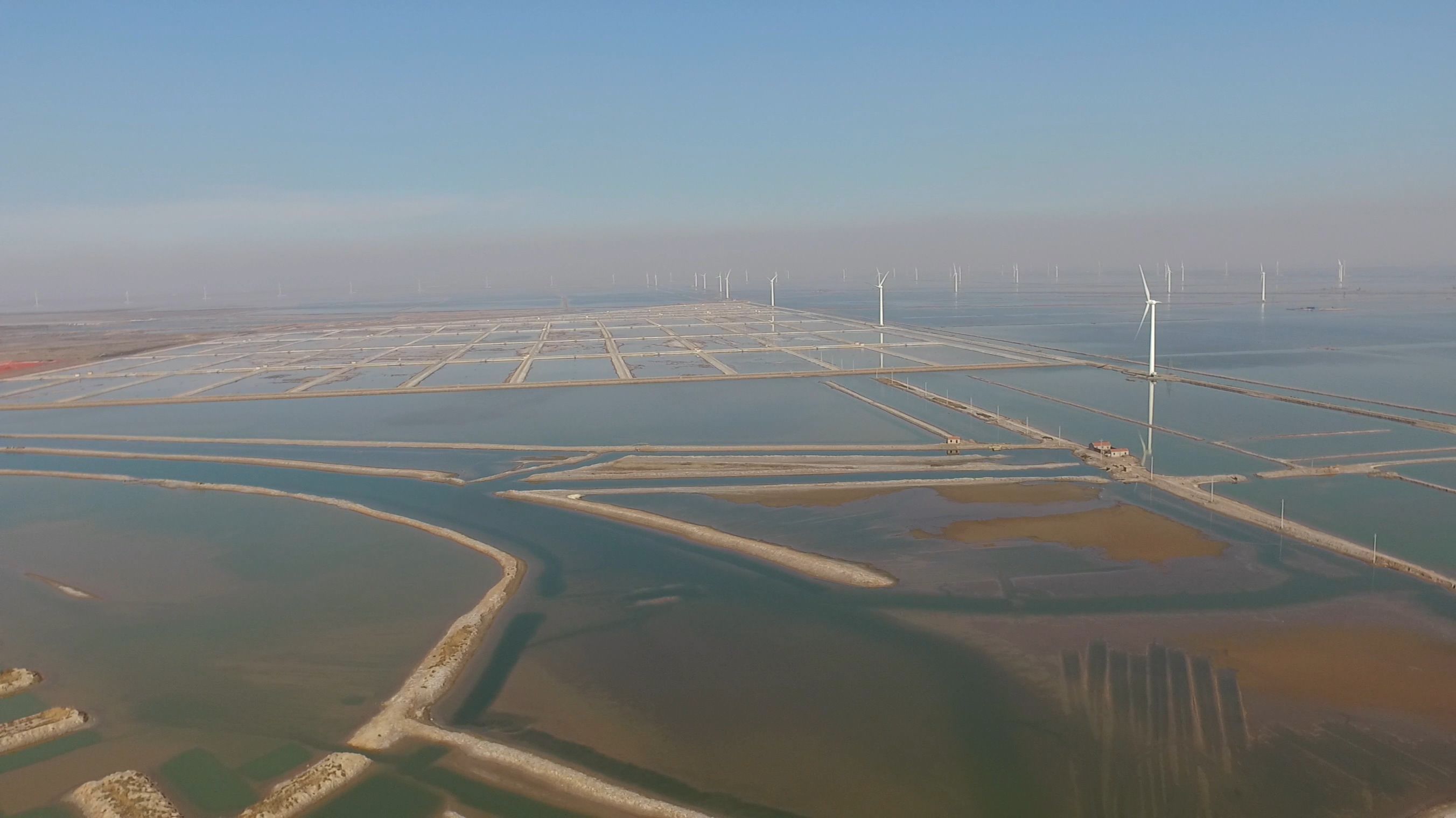  「经济」小对虾掀起现代海洋大产业！滨州北海经济开发区推动传统海洋产业提档升级