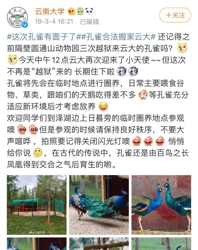  『大学校园』高校“神兽”出没,快来看看有没有你们学校