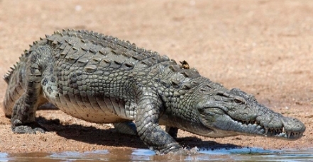 女子在公园随手拍了一张照片，回家后看清后吓得腿都软了!