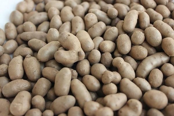  【抢手货】人称零余子，儿时当玩具玩，如今价格翻倍，5元一斤成