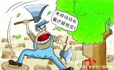 青藏高原究竟发生了什么能引起世界76国的高度重视，专家最大危机