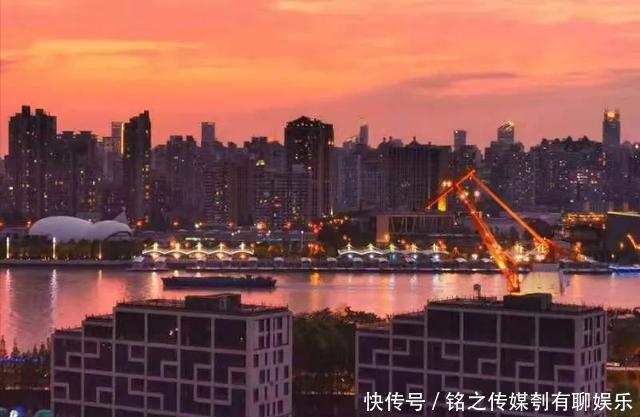 平均气温大于22℃:昨天,上海因为它登上热搜!美到窒息……