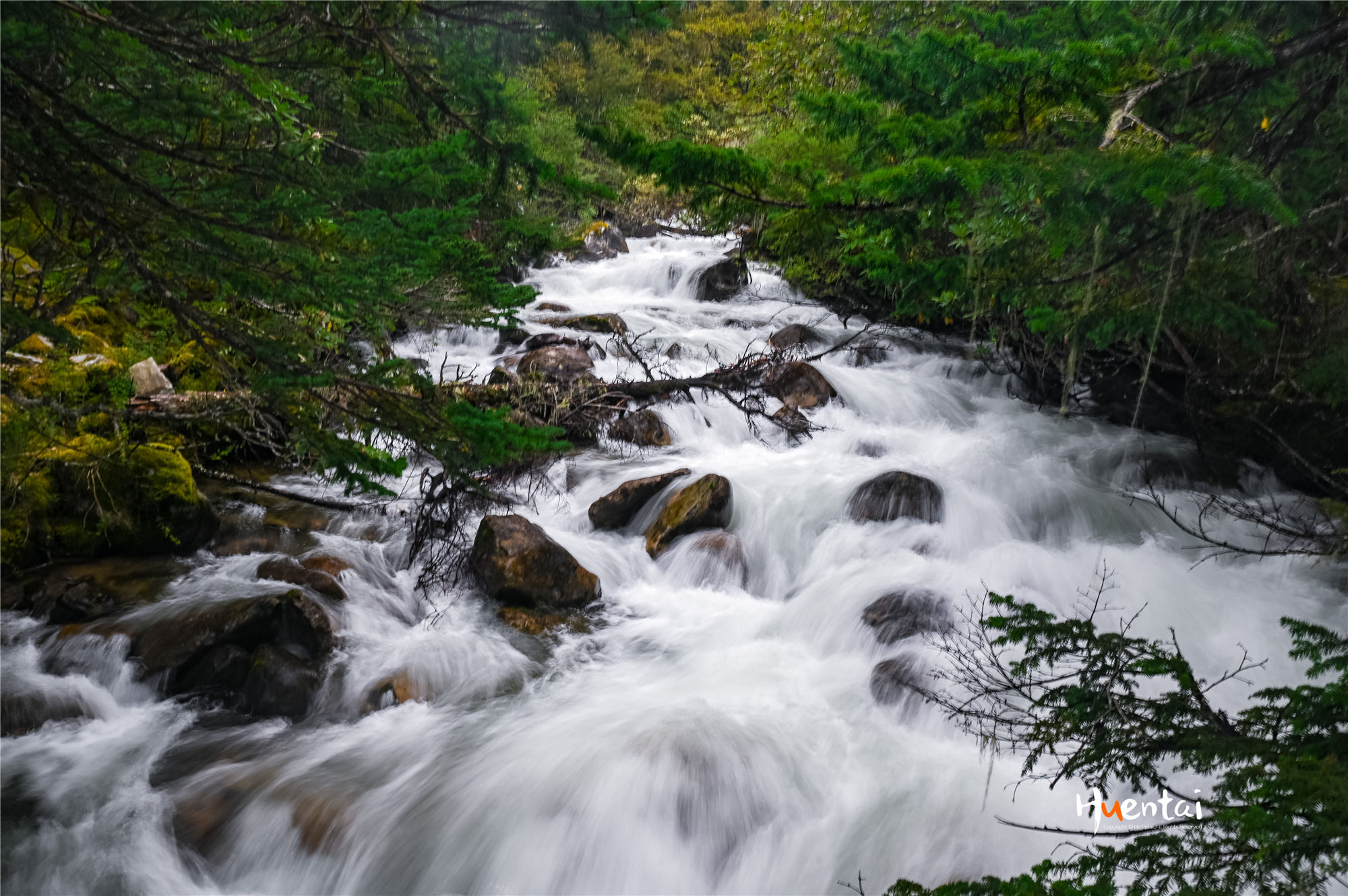 出发即收获，自驾川西秘境木格措