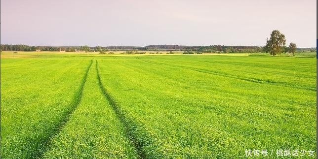 农村60岁以上老年人的养老金，多少才合适呢？