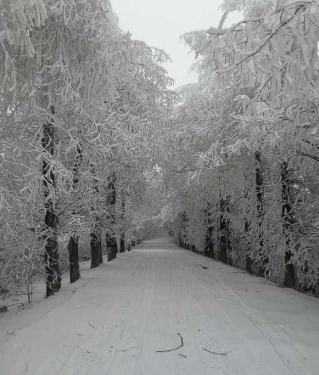 暴雪 寒潮“双警报齐鸣”！中到大雪恐将真持续到2019年