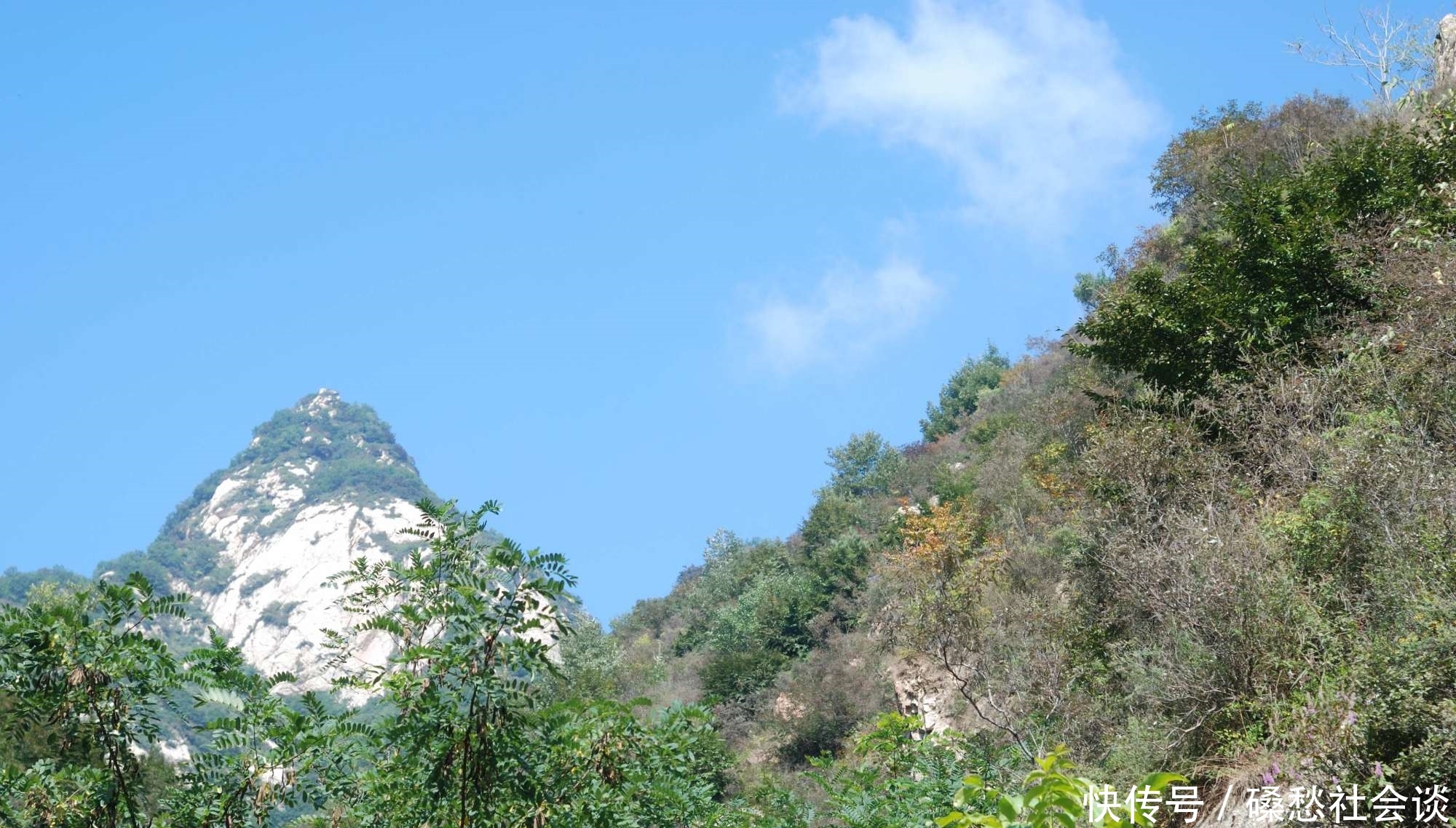  姑娘@河南村庄飞入湖北境内：吃湖北水，走湖北路，娶湖北姑娘