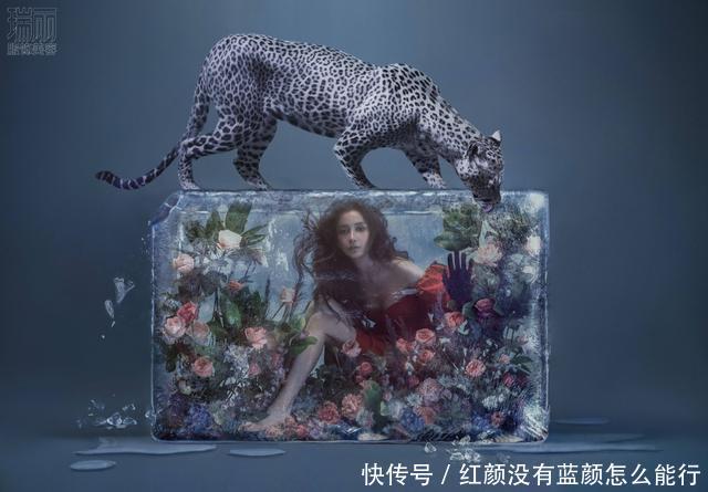『辣妈』Anglebaby罕见晒娃,亲子装摘草莓,红色毛衣隐约辣妈身材