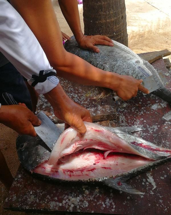 我心中向往的天堂，西沙群岛潜水、海钓、露营