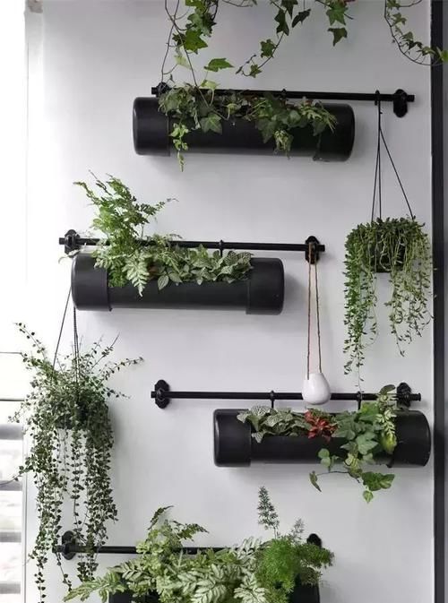  『养花』阳台就是要这样布置, 养花和晾衣一个都不耽误!