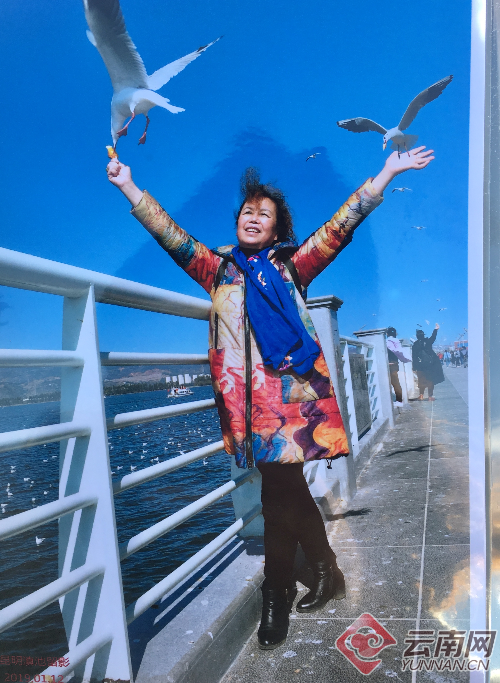 昆明海埂大坝拍照点所拍人鸥合影"造假"? 回应:根据游客意愿"P