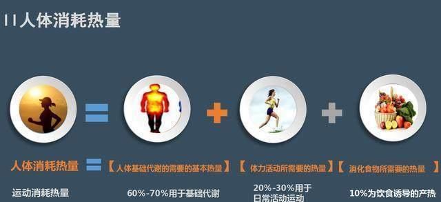  『锻炼或运动』减肥关键：身体成分的变化，才是减肥的关键所在（附腰腹核心训练大全）