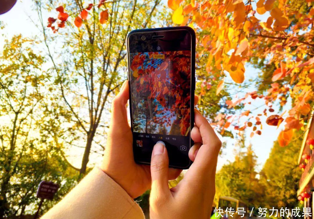 深秋的离开,初冬的到来,你好!台儿庄古城!