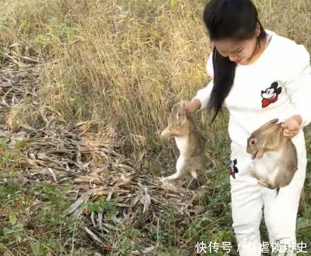 农民养殖野生的“它”游客可上山亲自抓捕，一只卖200元