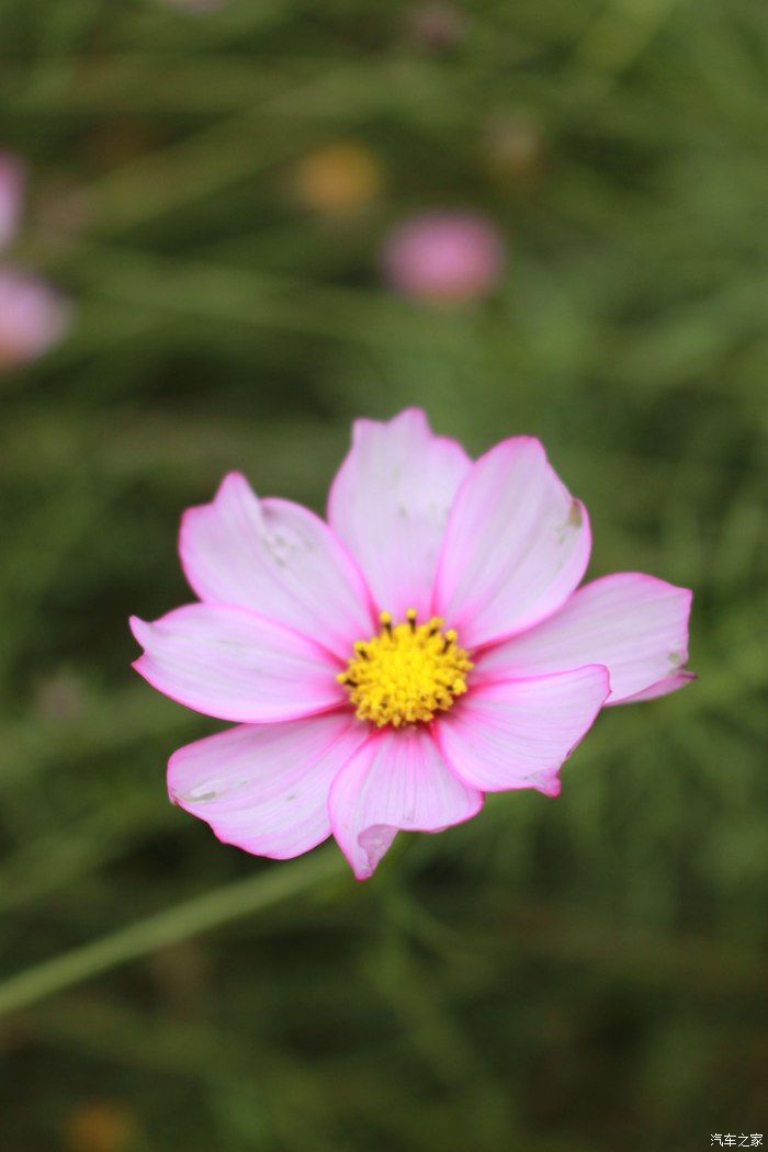 博越自驾游，网红打卡地 上河古村，一场美丽的邂逅