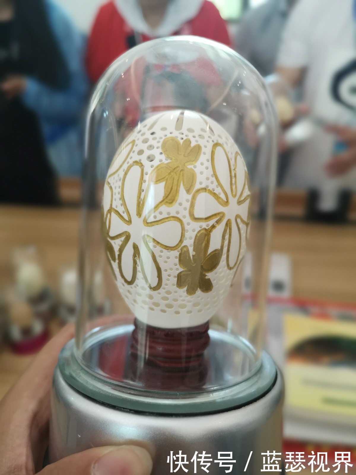 杨凌两日游~记西安知名网络大V走进杨凌示范