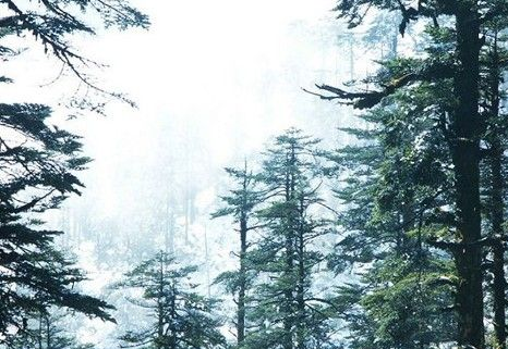 中国最“神秘”4大景点，进去指南针都不管用，1个与百慕大齐名