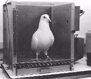 他揭开了迷信的心理机制，却无法破除自己被传虐童的谣言迷信