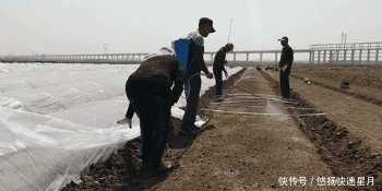 袁隆平又有大动作！