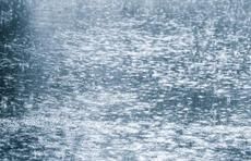 #预警信息#今天夜间至明天白天,山东省有强对流天气过程,部分地区将有大雨