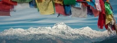 在尼泊尔只有中国游客拥有的“特权”!外国游客直说羡慕