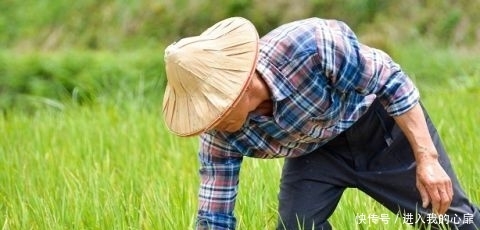  「日子」杜绝农村陋习，这3大怪象整改完成后，农民的日子会越来