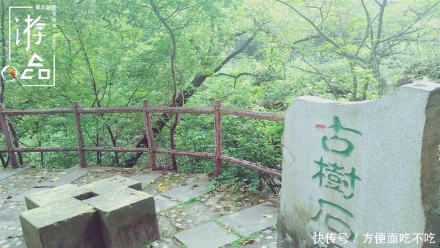 只知道重庆南山“一棵树”？其实，这里还有“壹碗水”