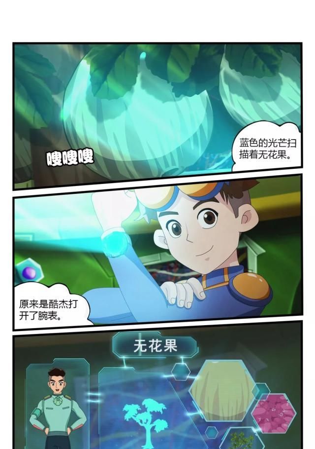  真的：果实内的旅行：无花果真的没有花吗？