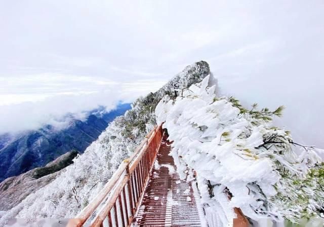  『应平台官方账号』清明春游光雾山，踏青赏花赏春雪（文末有福利）