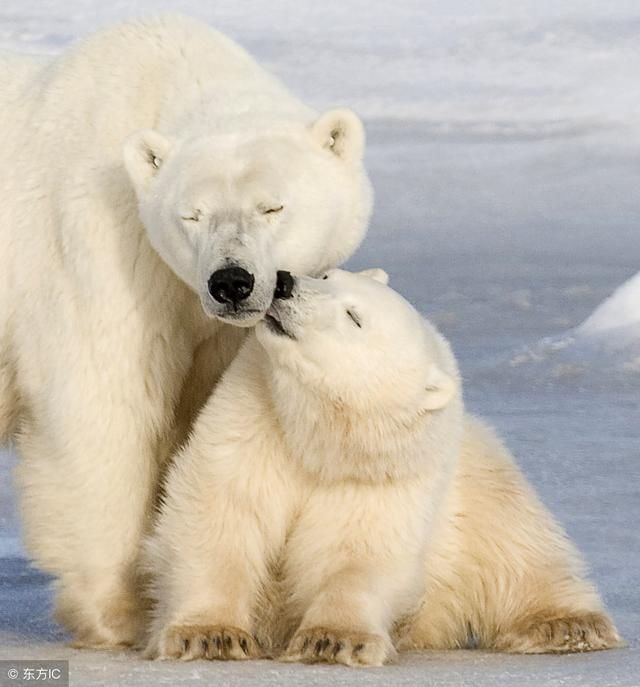 本周谣言盘点：诊所买小孩练手，扫码可缴纳罚款