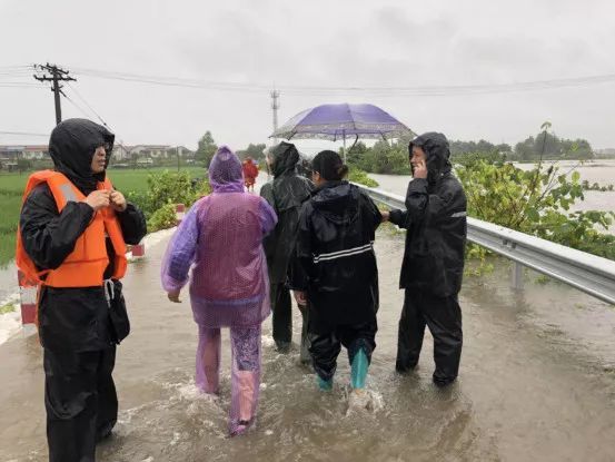 辟谣！四川暴雨与石犀移位无关，鳄鱼均在救护站内！这10个谣言不