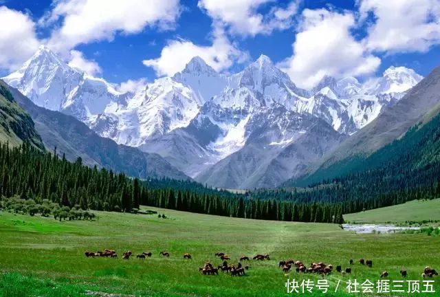 新疆最极致的景观诱惑，天山深处最后一片净土，居然是它