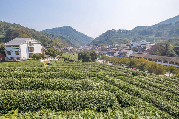 西湖最冷门的旅游路线，人少景美，一般人都不知道