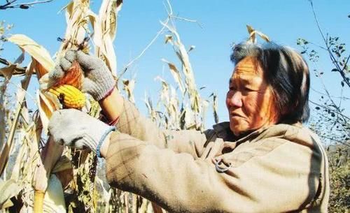  【变动】9月农村环保新变动，一个禁令被叫停，但农民4种行为仍