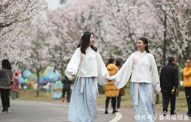 四川省眉山市行政区划