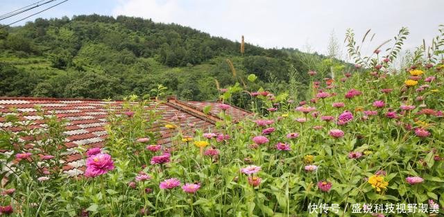  新房：40岁夫妻靠养蚕发家，花100万建养猪场，自己却舍不得盖新
