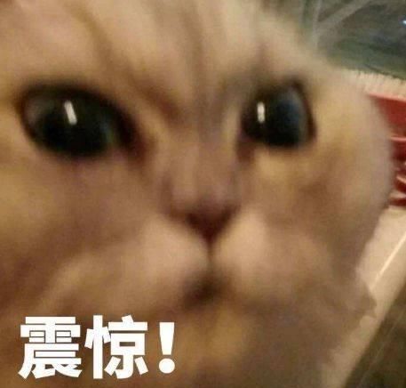 世界卫生组织■网传宠物确诊新冠病毒?世界卫生组织再次紧急辟谣!