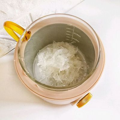  【养生壶】蔓越莓桂圆燕窝羹