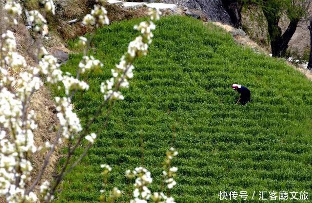 在这些地方的某个角落，遇见一抹春色，足以让你荡漾整个春天