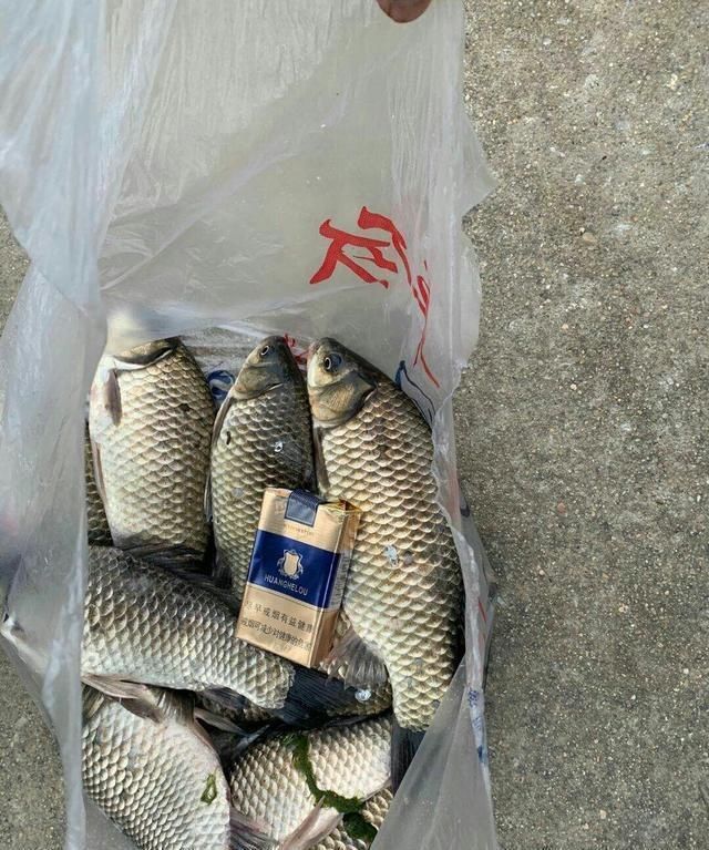  【自制】「自制鱼饵」窝料制作千千万，适合自己的才最佳