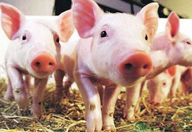 济宁8月谣言榜出炉 第一个就被吓“懵”了