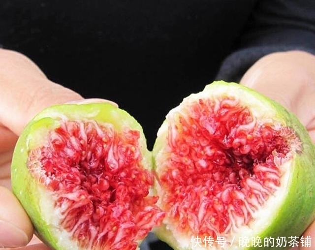  无花果：还在阳台种绿植现在流行养此些水果盆栽，好看又好吃