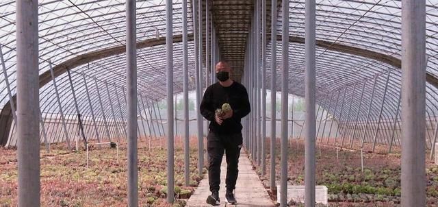  「年收入」丰县一小伙种植多浆植物，年收入达三十万！