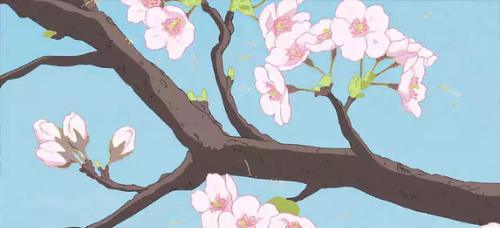 2019长沙最新旅游攻略，2019长沙最佳赏花时间表来了！