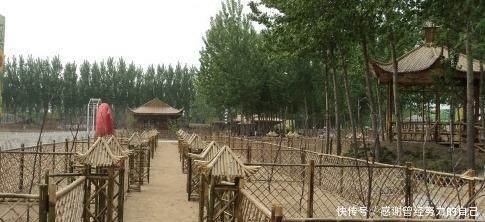 创业不如回农村，这8个赚钱好项目有干头，任意一个都比打工强！