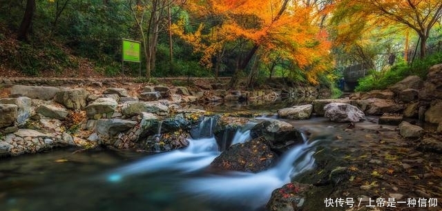 这个周末的三日小长假,王府竹海景区免门票让你游玩