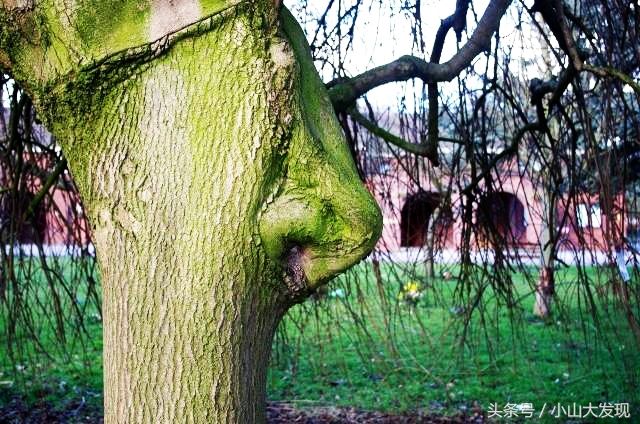 14处你没见过的景观“上帝之眼，鲨鱼砸屋顶，如来神掌”壮观!