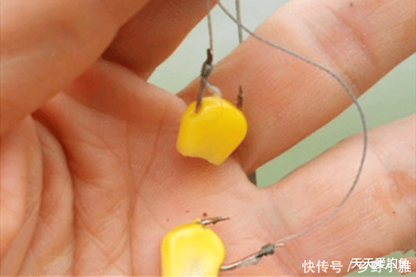  「必杀」手竿钓大鱼，这些必杀技巧要牢记，别不信，钓大鱼一钓一个准！