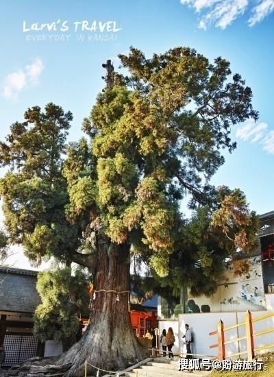  「祈福的灯笼」DAY2日本深度自由行之大阪都门奈良城崎旅行日记