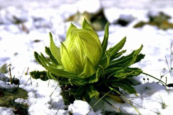 8月是分手魔咒?我爱过你，但现在开始，我会有更好的自己!