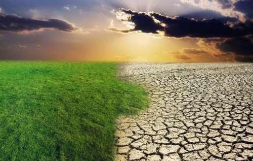 倘若将沙漠中的全部沙子挖掉，能看到什么东西呢看完长见识了